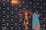 Parineeti Chopra at UTV Walk the stars with Yash Chopra in Mumbai on 11th Feb 2013 (9).JPG